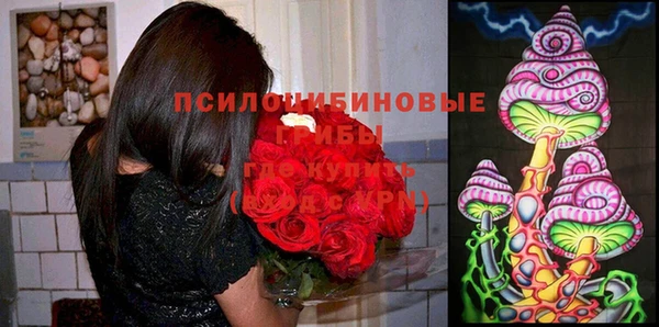 гидра Баксан