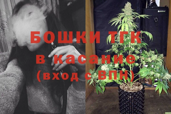 ПСИЛОЦИБИНОВЫЕ ГРИБЫ Аркадак